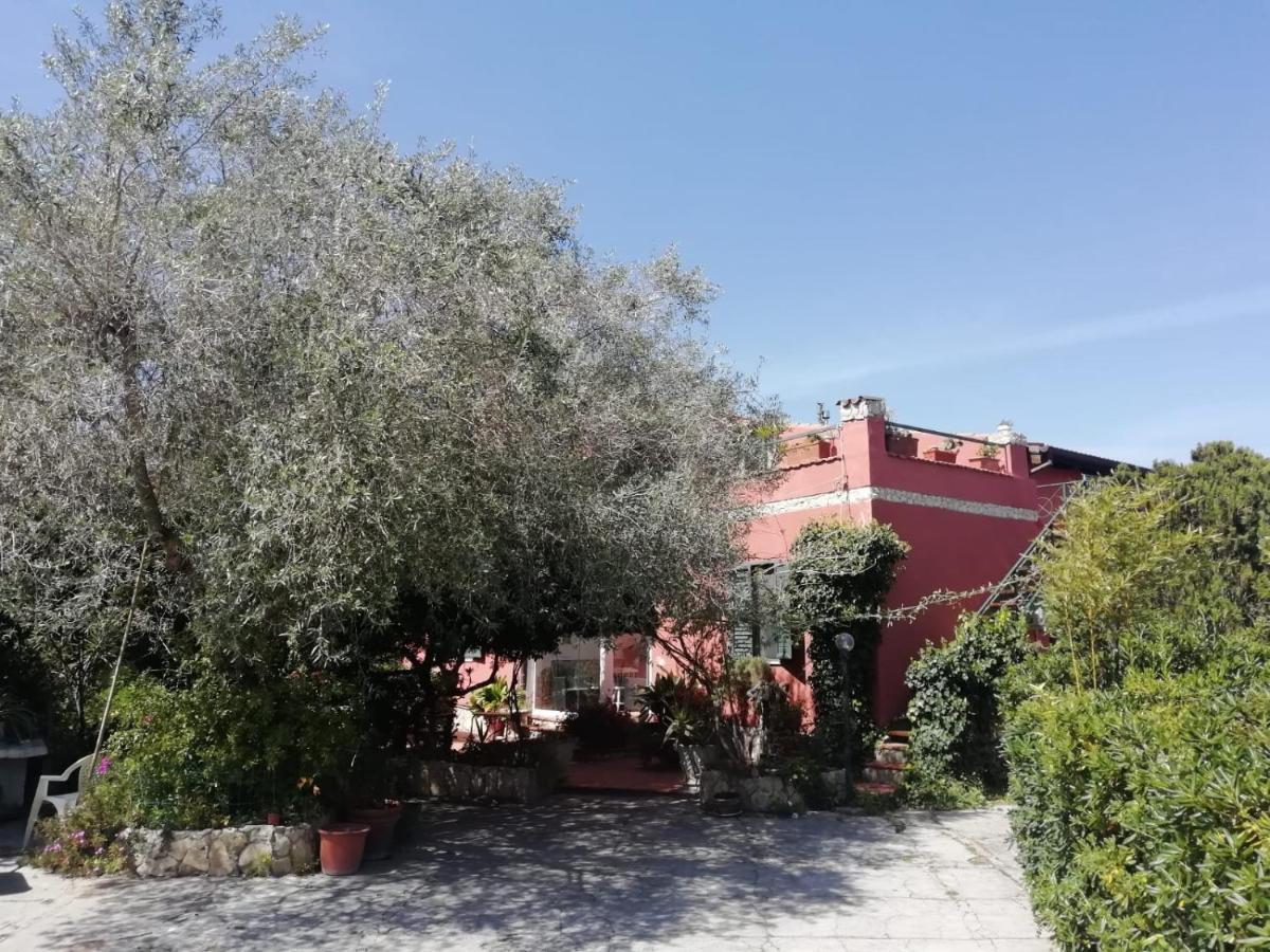 Il Vecchio Lentisco Διαμέρισμα Αλγκέρο Εξωτερικό φωτογραφία