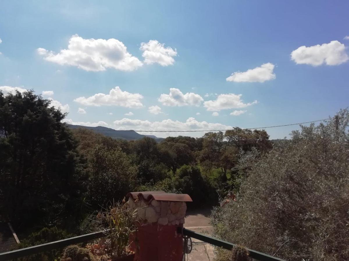 Il Vecchio Lentisco Διαμέρισμα Αλγκέρο Εξωτερικό φωτογραφία