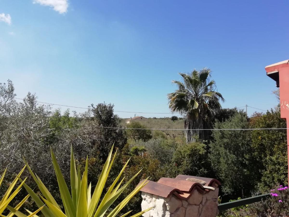 Il Vecchio Lentisco Διαμέρισμα Αλγκέρο Εξωτερικό φωτογραφία