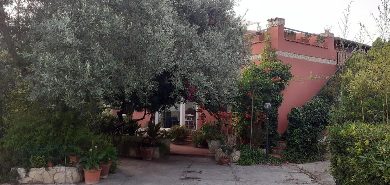 Il Vecchio Lentisco Διαμέρισμα Αλγκέρο Εξωτερικό φωτογραφία