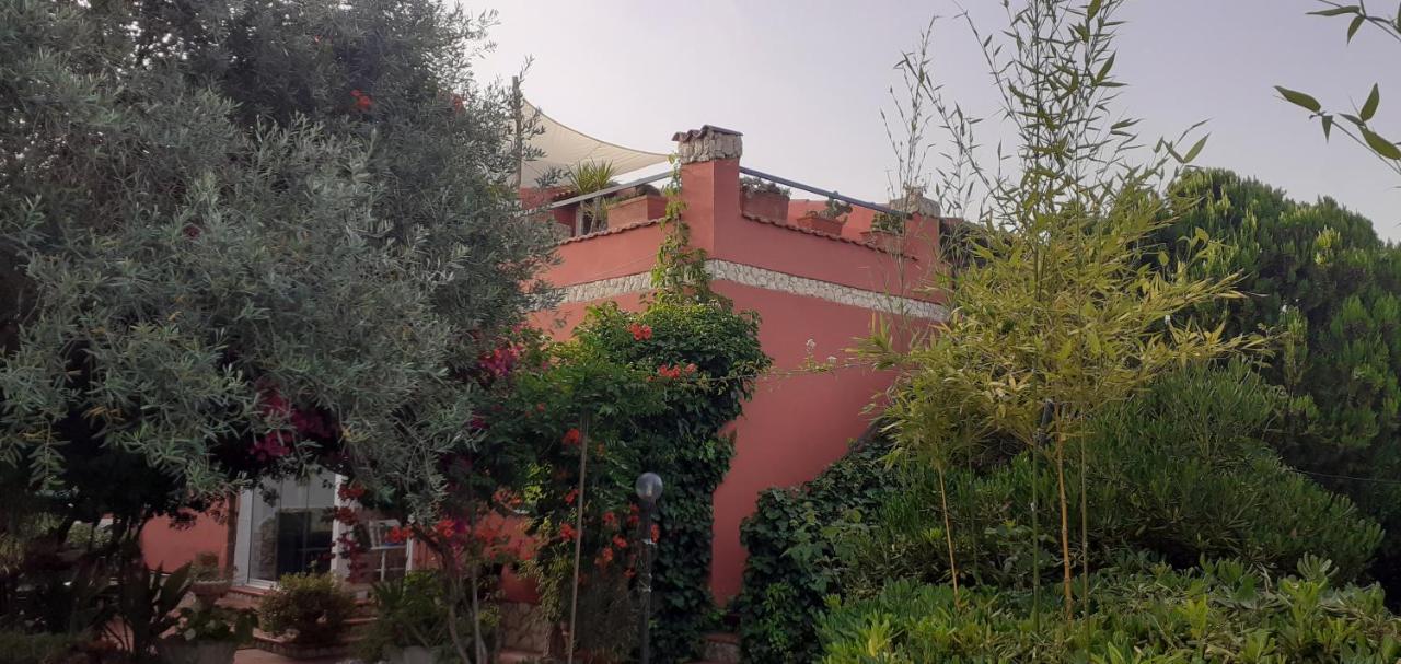 Il Vecchio Lentisco Διαμέρισμα Αλγκέρο Εξωτερικό φωτογραφία